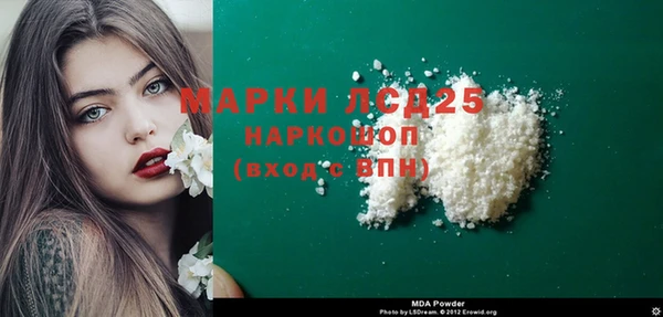 прущие грибы Саяногорск