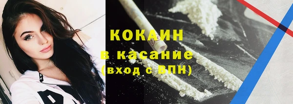 прущие грибы Инсар