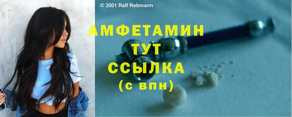 прущие грибы Саяногорск