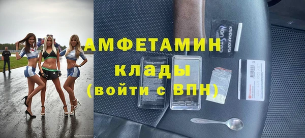 прущие грибы Инсар