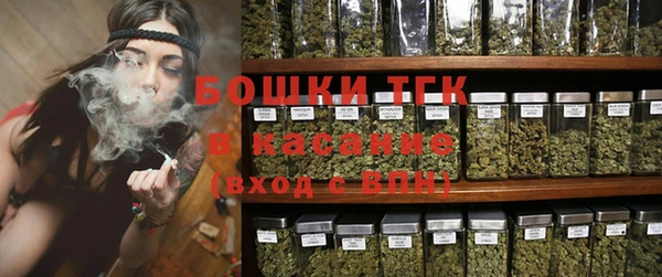 прущие грибы Инсар