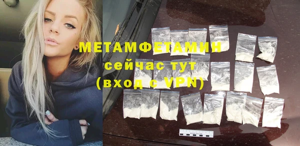 прущие грибы Саяногорск