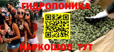 кокс Краснодар