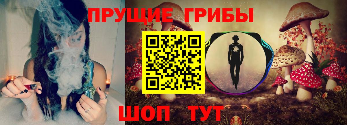 Галлюциногенные грибы прущие грибы Советск